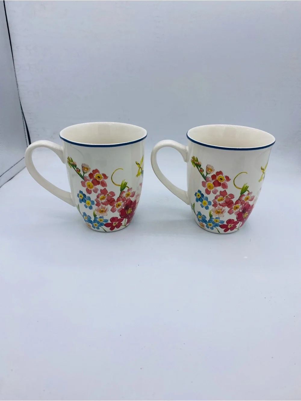 Pottery Barn China Floral Rim Collection Set of 2 Discontinued